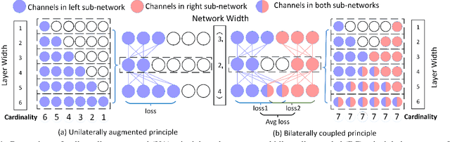 Figure 1 for BCNet: Searching for Network Width with Bilaterally Coupled Network