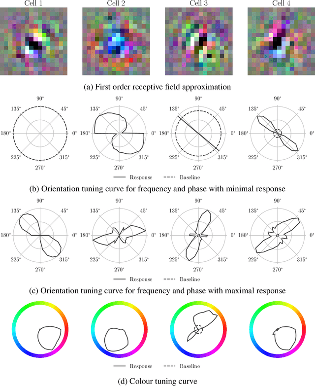 Figure 3 for How Convolutional Neural Network Architecture Biases Learned Opponency and Colour Tuning