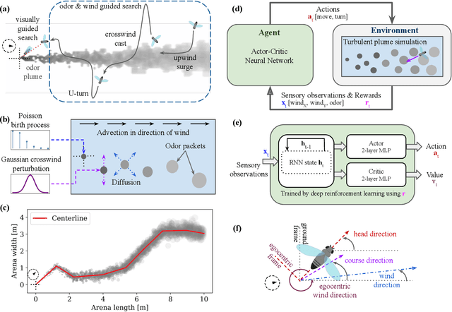 Figure 1 for Emergent behavior and neural dynamics in artificial agents tracking turbulent plumes