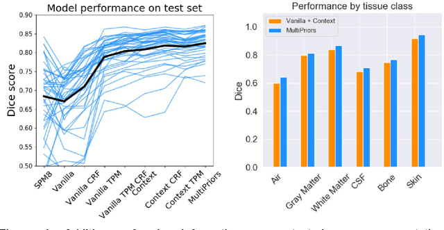 Figure 4 for Tissue segmentation with deep 3D networks and spatial priors