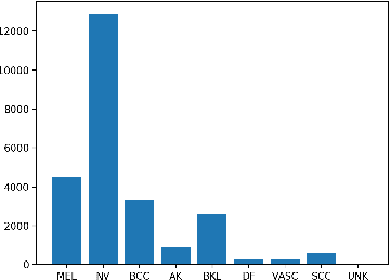 Figure 1 for Properties Of Winning Tickets On Skin Lesion Classification