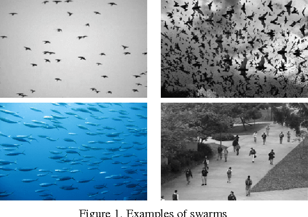 Figure 1 for Modeling Dynamic Swarms