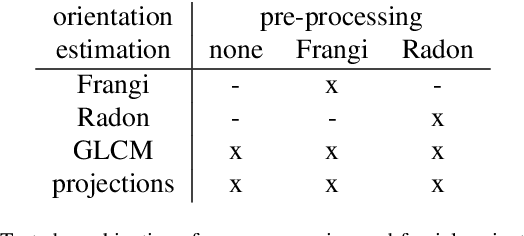 Figure 2 for Estimation of Muscle Fascicle Orientation in Ultrasonic Images