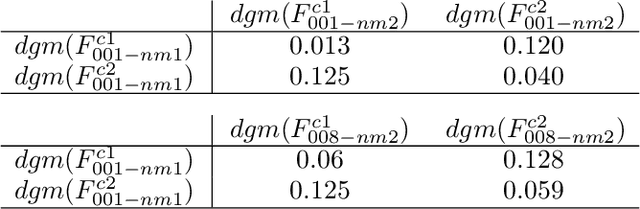 Figure 4 for Topological signature for periodic motion recognition