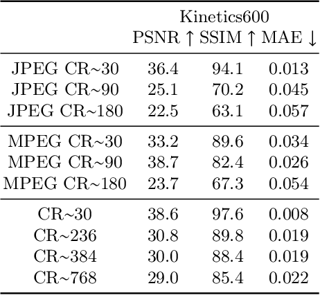 Figure 2 for Compressed Vision for Efficient Video Understanding