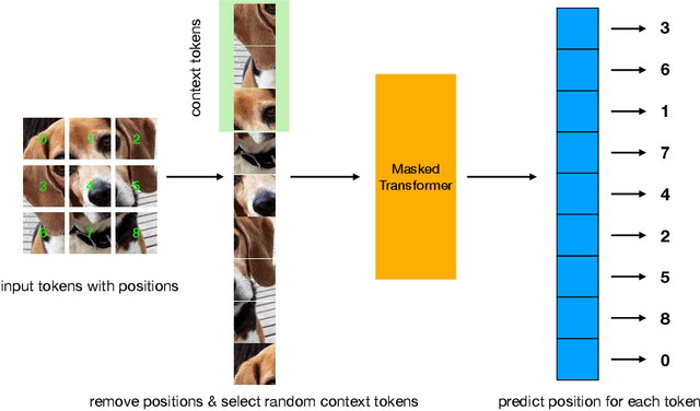 Figure 1 for Position Prediction as an Effective Pretraining Strategy