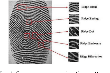 Figure 1 for FIGO: Enhanced Fingerprint Identification Approach Using GAN and One Shot Learning Techniques