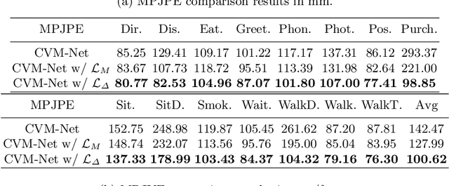 Figure 2 for A New Spatio-Temporal Loss Function for 3D Motion Reconstruction and Extended Temporal Metrics for Motion Evaluation