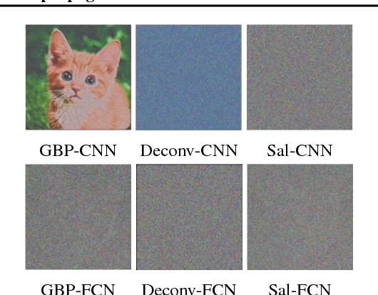Figure 4 for A Theoretical Explanation for Perplexing Behaviors of Backpropagation-based Visualizations