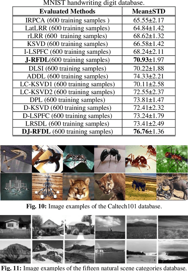 Figure 2 for Learning Hybrid Representation by Robust Dictionary Learning in Factorized Compressed Space