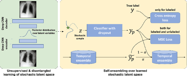 Figure 1 for Semi-Supervised Learning by Disentangling and Self-Ensembling Over Stochastic Latent Space