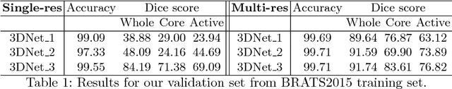 Figure 2 for 3D Convolutional Neural Networks for Brain Tumor Segmentation: A Comparison of Multi-resolution Architectures