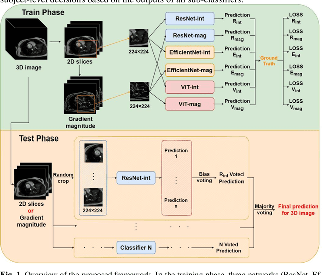 Figure 1 for Motion-related Artefact Classification Using Patch-based Ensemble and Transfer Learning in Cardiac MRI