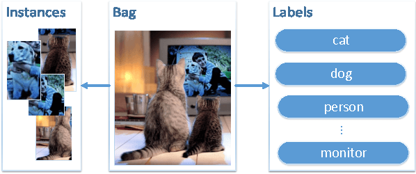 Figure 1 for MIML-FCN+: Multi-instance Multi-label Learning via Fully Convolutional Networks with Privileged Information