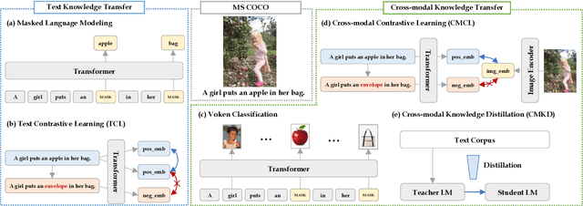 Figure 3 for Leveraging Visual Knowledge in Language Tasks: An Empirical Study on Intermediate Pre-training for Cross-modal Knowledge Transfer