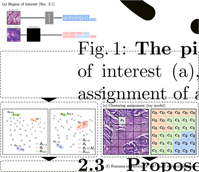 Figure 1 for Divide-and-Rule: Self-Supervised Learning for Survival Analysis in Colorectal Cancer