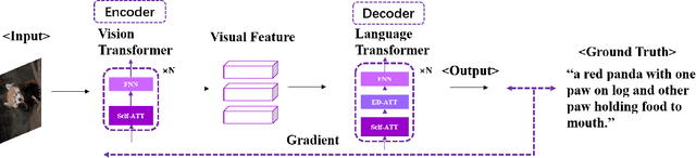Figure 2 for Image Captioning In the Transformer Age