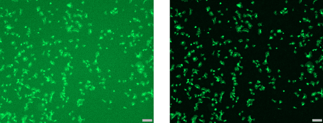 Figure 1 for Automation of Hemocompatibility Analysis Using Image Segmentation and a Random Forest