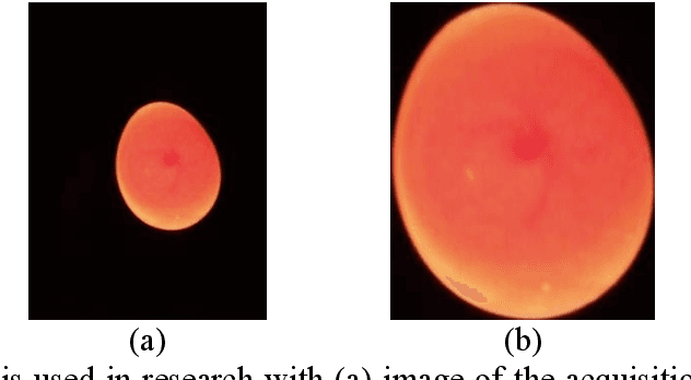 Figure 2 for K-means Segmentation Based-on Lab Color Space for Embryo Egg Detection