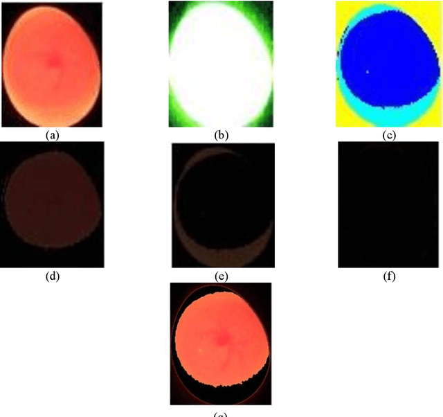Figure 4 for K-means Segmentation Based-on Lab Color Space for Embryo Egg Detection