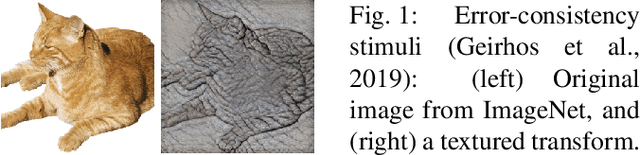 Figure 1 for Are Convolutional Neural Networks or Transformers more like human vision?