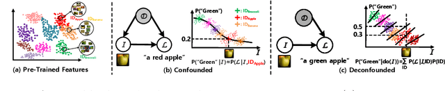 Figure 1 for Deconfounded Image Captioning: A Causal Retrospect