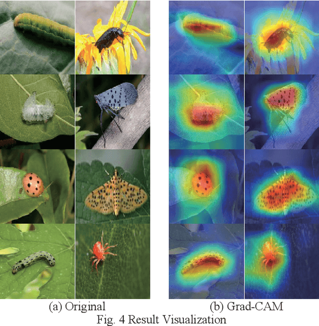 Figure 3 for An Efficient and Small Convolutional Neural Network for Pest Recognition -- ExquisiteNet