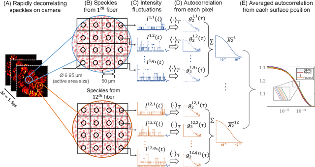 Figure 3 for Transient motion classification through turbid volumes via parallelized single-photon detection and deep contrastive embedding
