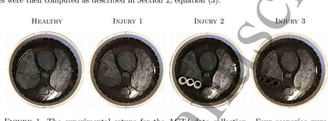 Figure 1 for Beltrami-Net: Domain Independent Deep D-bar Learning for Absolute Imaging with Electrical Impedance Tomography (a-EIT)