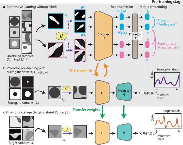 Figure 2 for Surrogate- and invariance-boosted contrastive learning for data-scarce applications in science