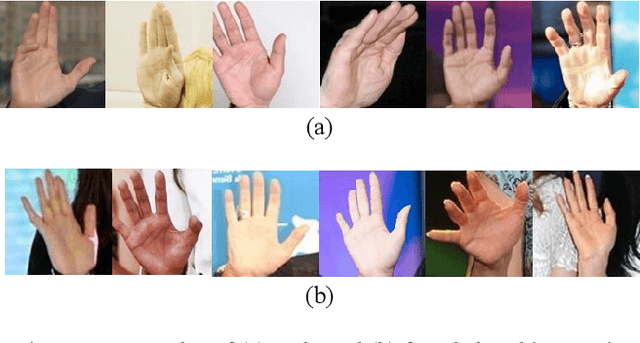 Figure 3 for Gender and Ethnicity Classification based on Palmprint and Palmar Hand Images from Uncontrolled Environment
