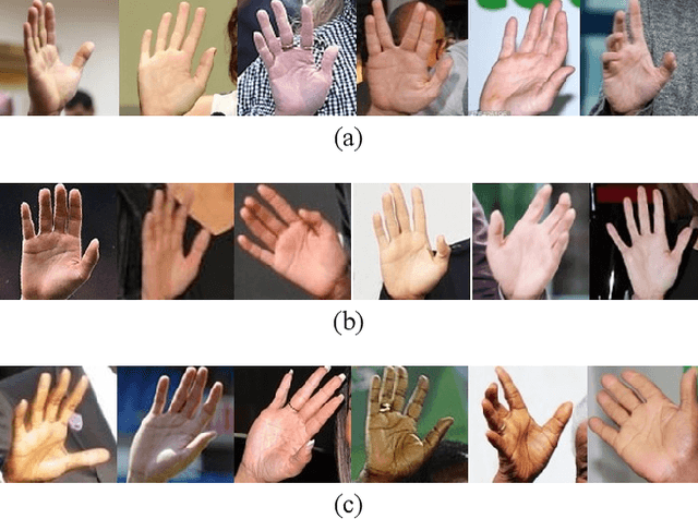 Figure 4 for Gender and Ethnicity Classification based on Palmprint and Palmar Hand Images from Uncontrolled Environment