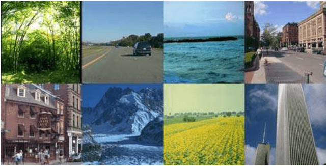 Figure 1 for Fusing image representations for classification using support vector machines