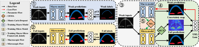 Figure 1 for A Macro-Micro Weakly-supervised Framework for AS-OCT Tissue Segmentation
