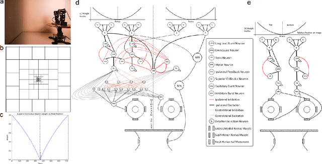 Figure 1 for A Spiking Neural Network Emulating the Structure of the Oculomotor System Requires No Learning to Control a Biomimetic Robotic Head