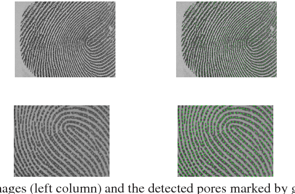 Figure 2 for Pore detection in high-resolution fingerprint images using Deep Residual Network