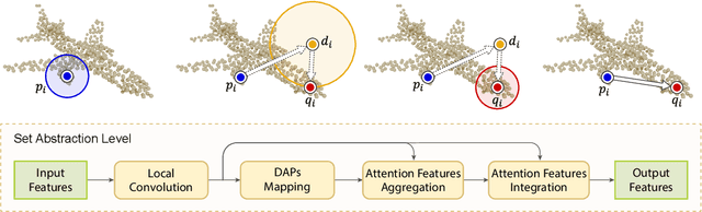 Figure 3 for One Point is All You Need: Directional Attention Point for Feature Learning