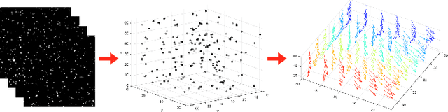 Figure 2 for Variational 3D-PIV with Sparse Descriptors