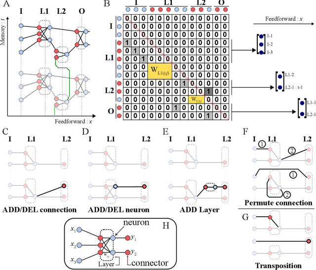 Figure 1 for An Artificial Neural Network Functionalized by Evolution