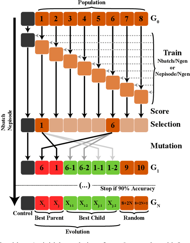 Figure 2 for An Artificial Neural Network Functionalized by Evolution