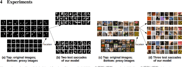 Figure 4 for Variational Saccading: Efficient Inference for Large Resolution Images