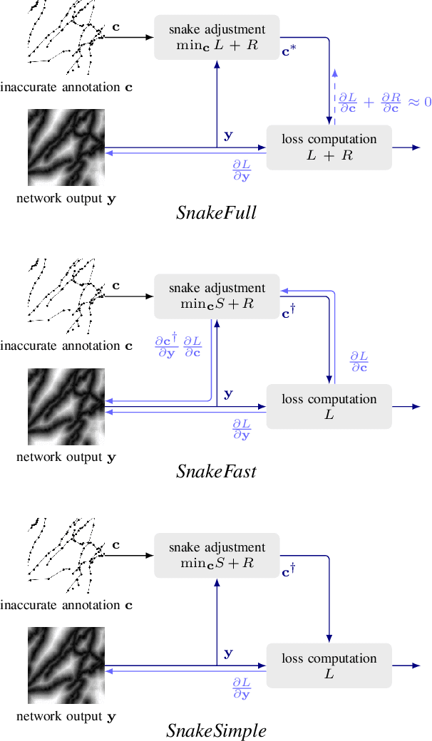 Figure 3 for Adjusting the Ground Truth Annotations for Connectivity-Based Learning to Delineate