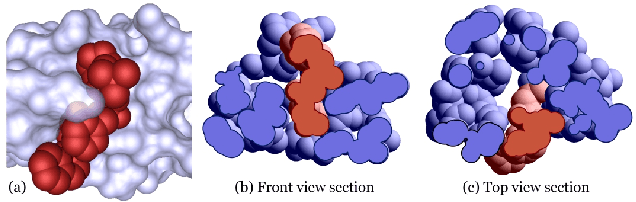 Figure 2 for Shape Complementarity Analysis for Objects of Arbitrary Shape