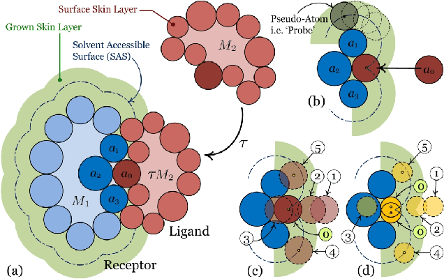 Figure 3 for Shape Complementarity Analysis for Objects of Arbitrary Shape