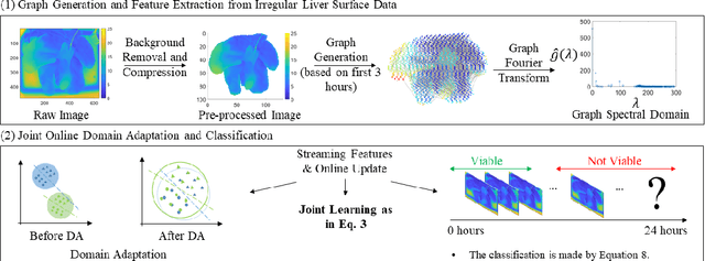 Figure 3 for Online Domain Adaptation for Continuous Cross-Subject Liver Viability Evaluation Based on Irregular Thermal Data