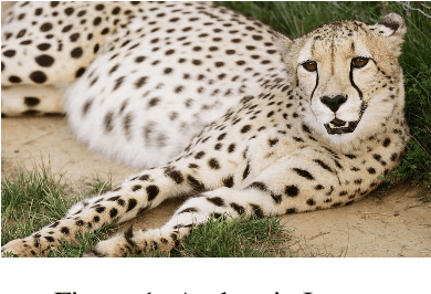 Figure 1 for Detection of Tool based Edited Images from Error Level Analysis and Convolutional Neural Network