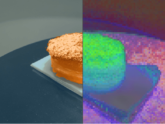 Figure 1 for Baking in the Feature: Accelerating Volumetric Segmentation by Rendering Feature Maps
