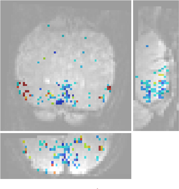 Figure 1 for Second order scattering descriptors predict fMRI activity due to visual textures