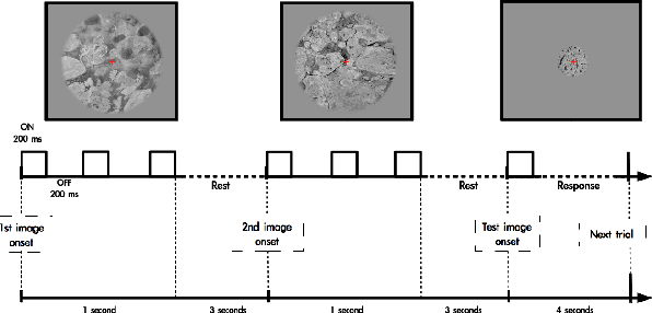 Figure 3 for Second order scattering descriptors predict fMRI activity due to visual textures