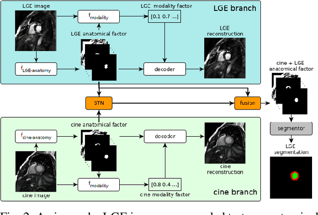 Figure 2 for Disentangle, align and fuse for multimodal and zero-shot image segmentation